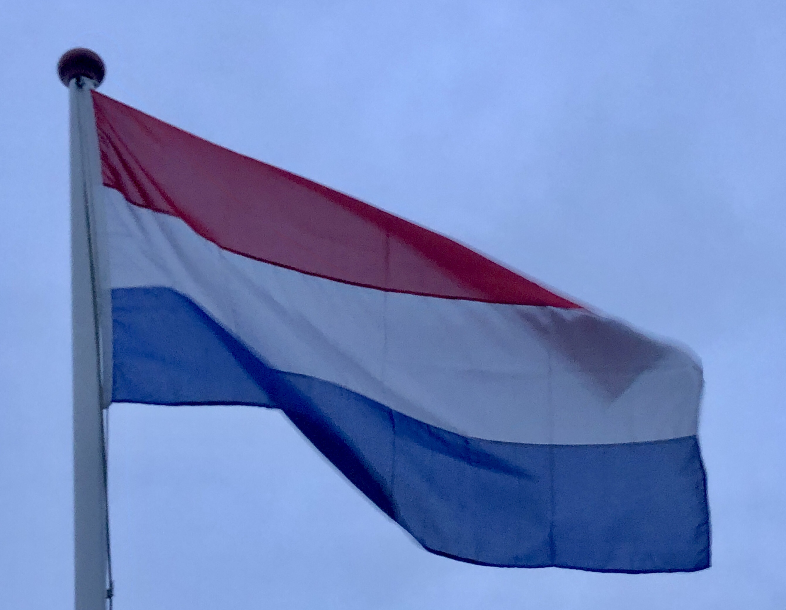 Nederland – Koninkrijksdag (1954) | Vlagblog